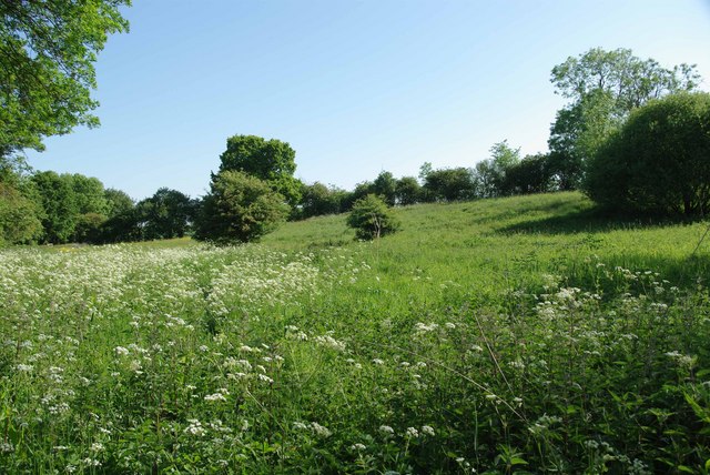 Hawksmere Springs © Glyn Baker cc-by-sa/2.0 :: Geograph Britain and Ireland