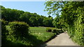 Bridleway, Gatton Park