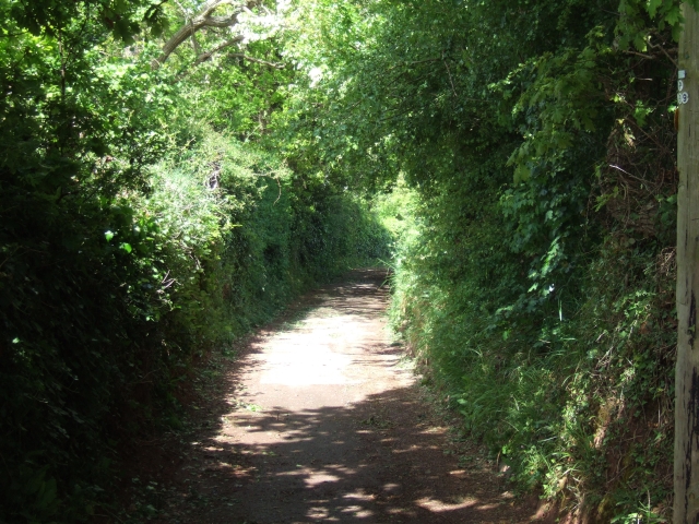 Hambeer Lane, Exeter © David Smith cc-by-sa/2.0 :: Geograph Britain and ...