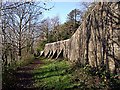 Buttressed wall, Gnoll