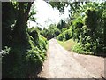 The Bridle Road looking South East