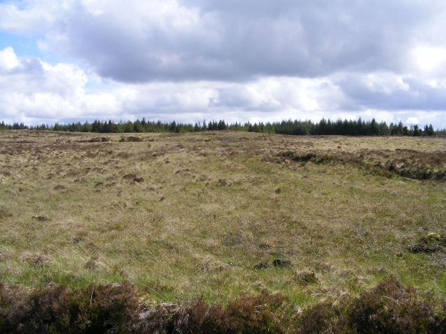 Rough grazing - Sonnagh Old Townland