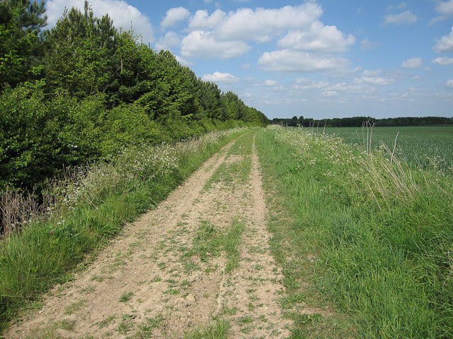 Icknield Way Path