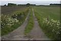 Farm track opposite Trashy Hill