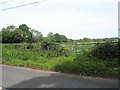 Farmland north of Hawkley Road