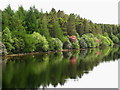 SX6871 : Edge of Venford Reservoir by Sarah Smith