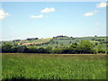 ST5109 : Hay field near Pen Wood by Sarah Smith