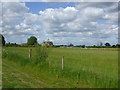 Grazing Land off Vicarage Lane