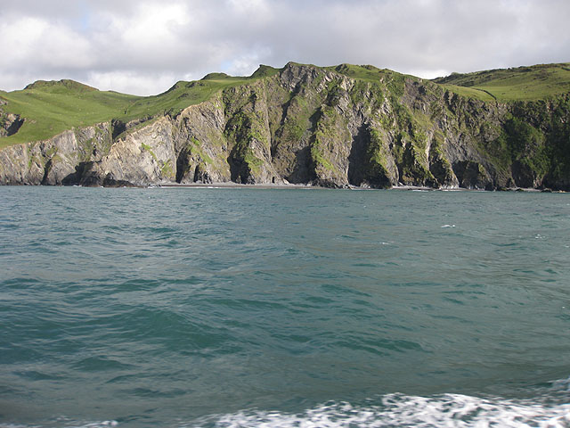 Cliffs, Hazel Bushes Bay