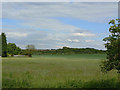 Fields near Silverdale (1)