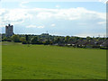 Fields near Silverdale