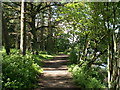 Underbank Reservoir South Side Footpath