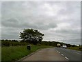 SK5582 : Lay-by on the A57 trunk road near Worksop by Steve  Fareham