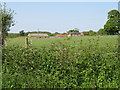 View across hedgerow and field to Guesses Farm