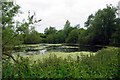 Gadwall Lake