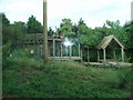 Lions Enclosure at Chessington Zoo