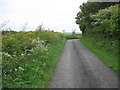 Approaching the road junction near Pennant Cottage