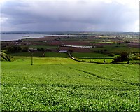 J4772 : A view from Scrabo by Rossographer