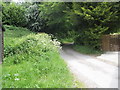 Looking eastwards along Middle Oakshott Lane