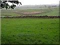 Low-lying land near Crocketford