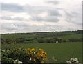 View south eastwards across pasture land towards Pennant Cottage