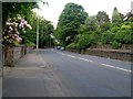 NS6170 : Kirkintilloch Road by Stephen Sweeney