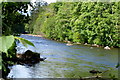 River Ericht at Blairgowrie