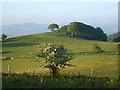 View from Craig yr Allt