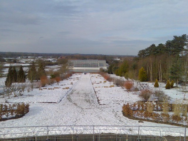 A snowy day at Wisley