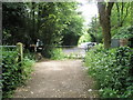 Competitors on the Wessex 100  approaching Reservoir Lane