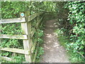 The Hangers Way just north of the A3 Roadbridge