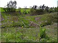 Felled woodland near Glengar