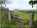 View of Middleborough Hill