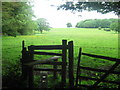 Footpath junction on stile near Honeywood Rough