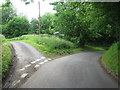 Triangular road junction near Dogkennel Plantation