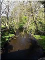 Glenesslin Burn