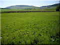 Fields between Kirkstile and Millhill