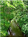 Gilwiskaw Brook (looking north)