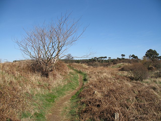 Coastal path, Hedderwick