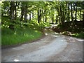 Road to Upper Drumallochy