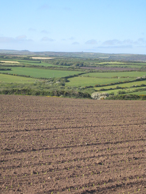 Field near Trelew Farm
