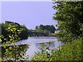 Old Penwortham Bridge from Penwortham Holme