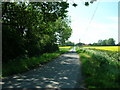 New Road towards the A165