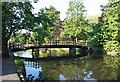 Bridge over the Swan Pool, Malvern