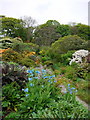 The Stream, Jura House walled garden