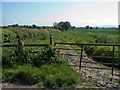 Roman Road near Nobold