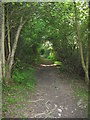 Clwydian Way north of Maeshafn