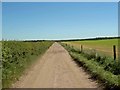 Bridleway near Carlton Forest Farm