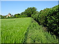 Footpath to Eastry