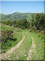 View of Footpath to Alyn Valley